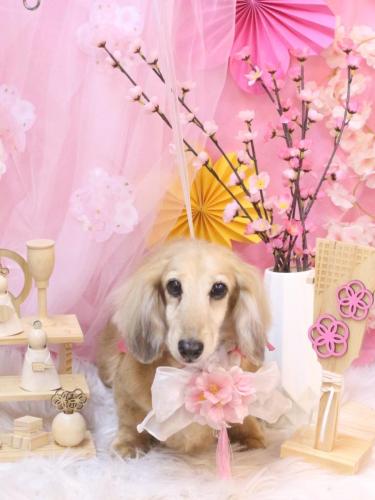 20250326そらくん